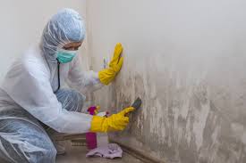 Why You Should Choose Our Mold Remediation Services in Crewe, VA